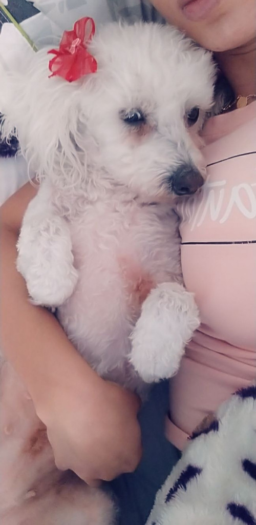 Marly
