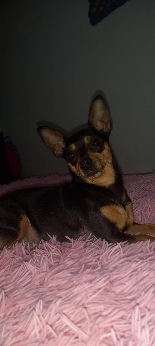Luna