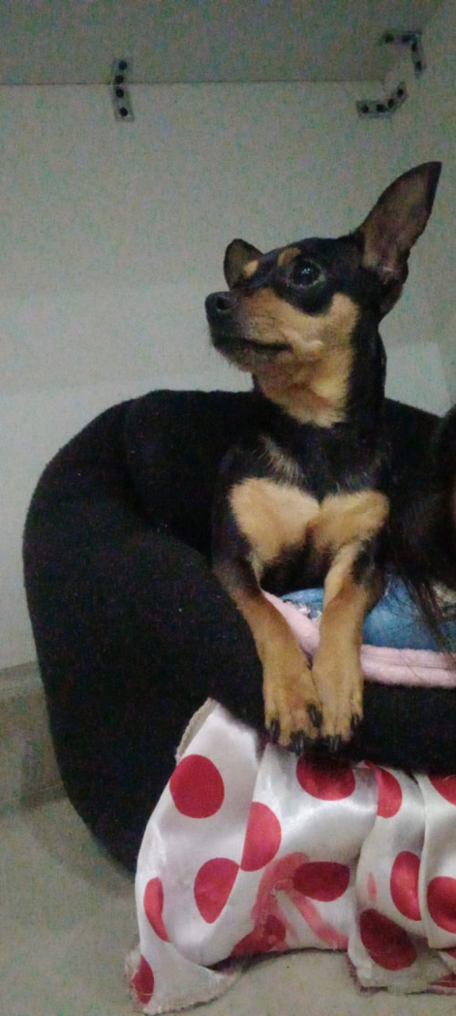 Luna