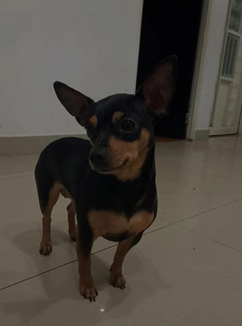Luna