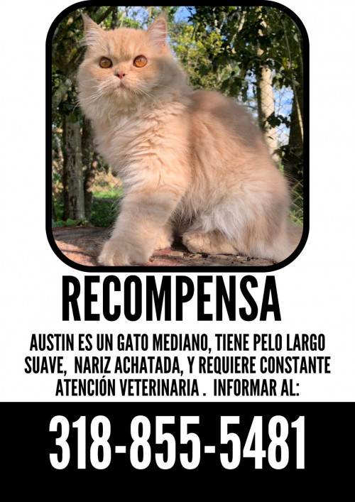 Austin