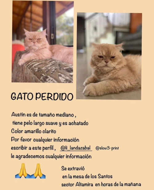 Austin