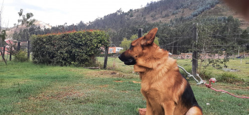 Chorro