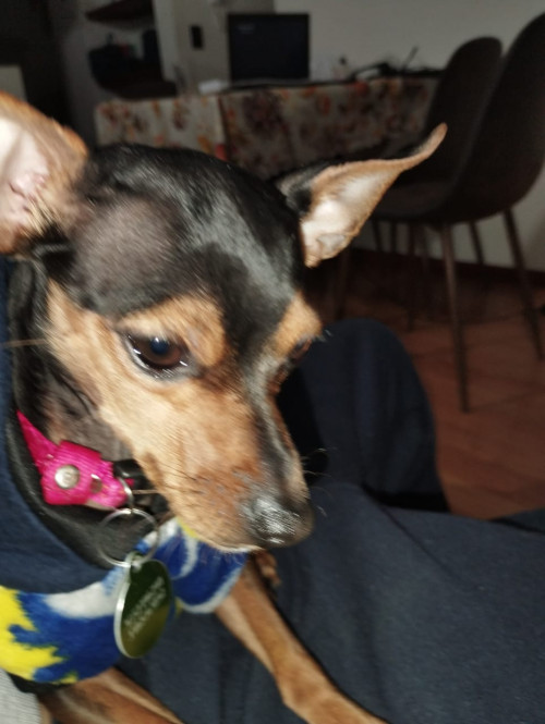 Coco