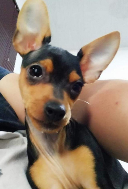 Coco