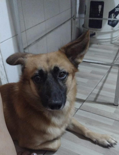 Zeus