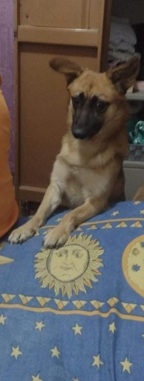 Zeus