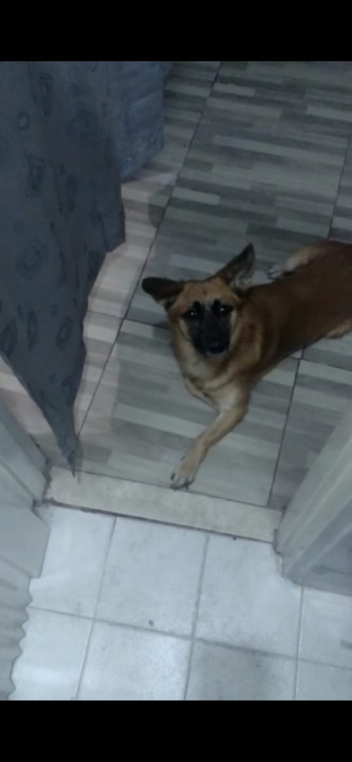 Zeus