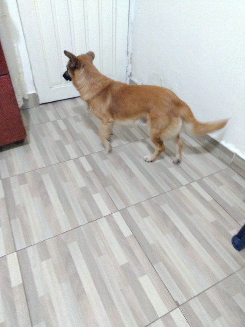 Zeus