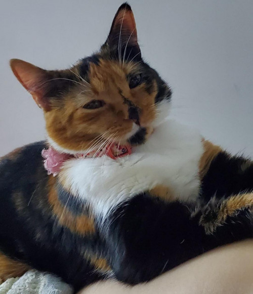 Juanita