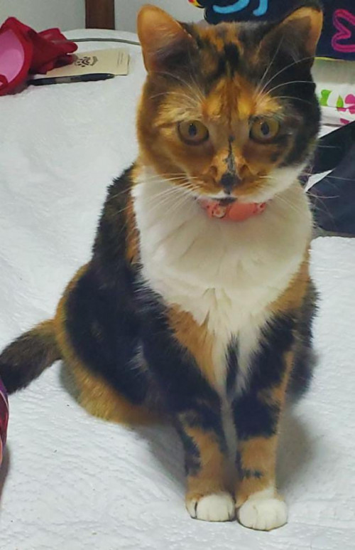 Juanita