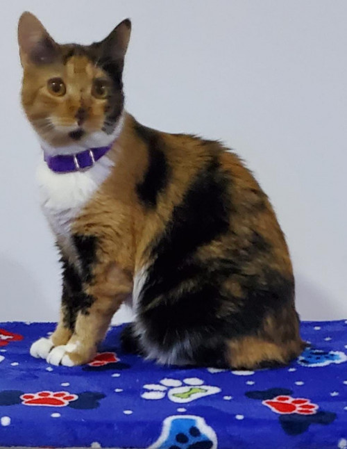 Juanita