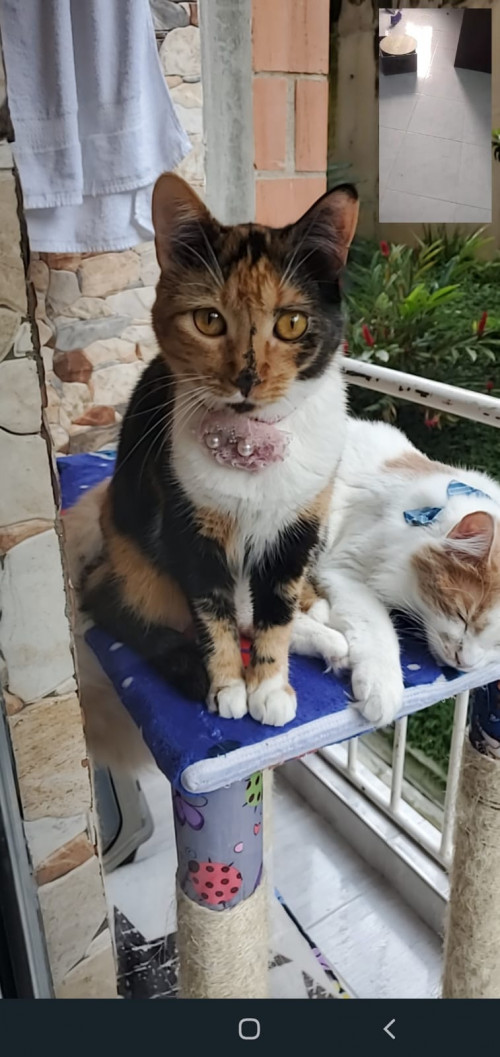 Juanita