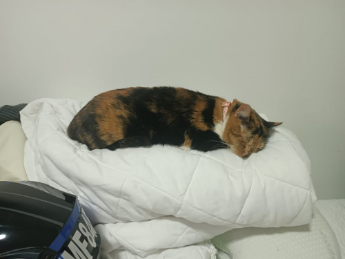 Juanita
