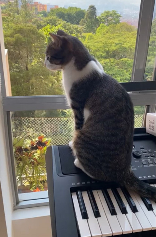 Mia