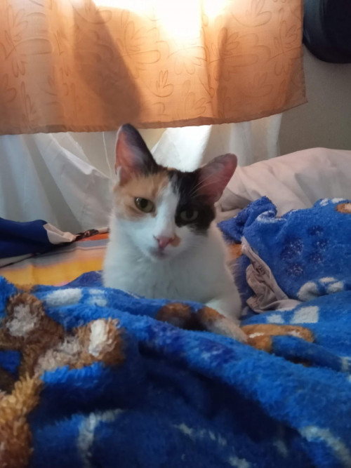 Luna
