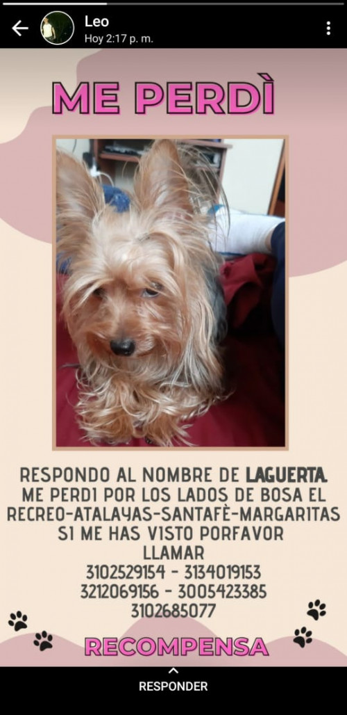 Laguerta