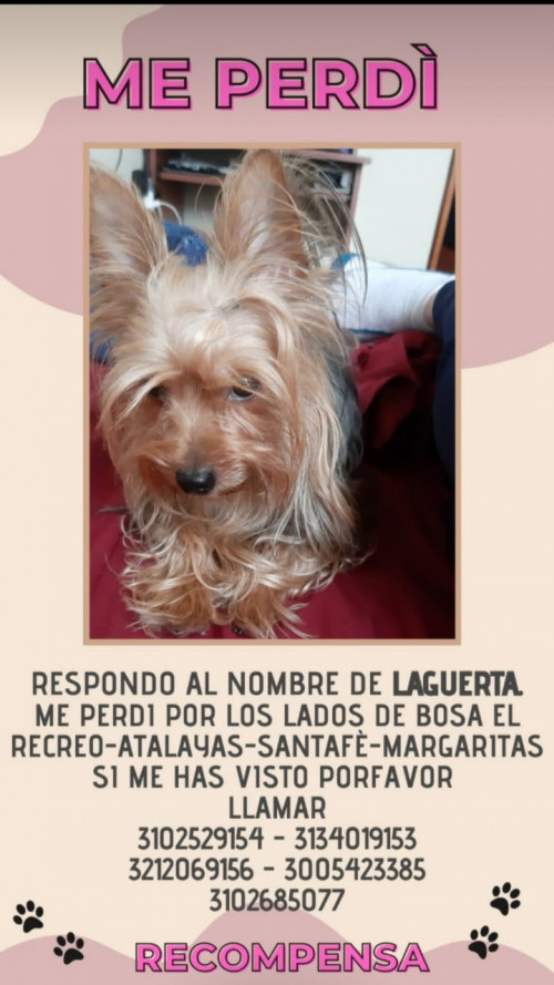 Laguerta