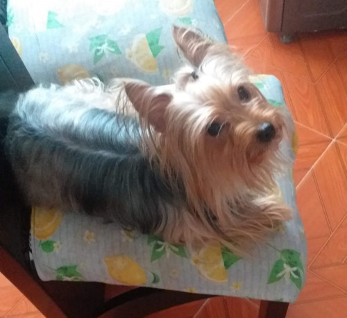 Laguerta