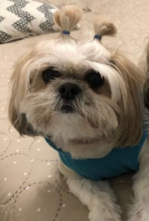 Dulce