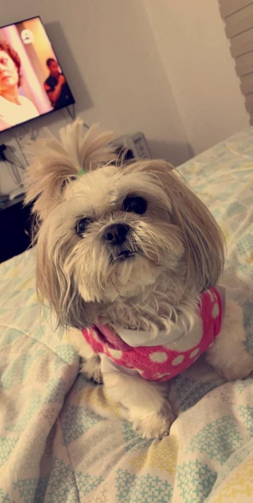 Dulce