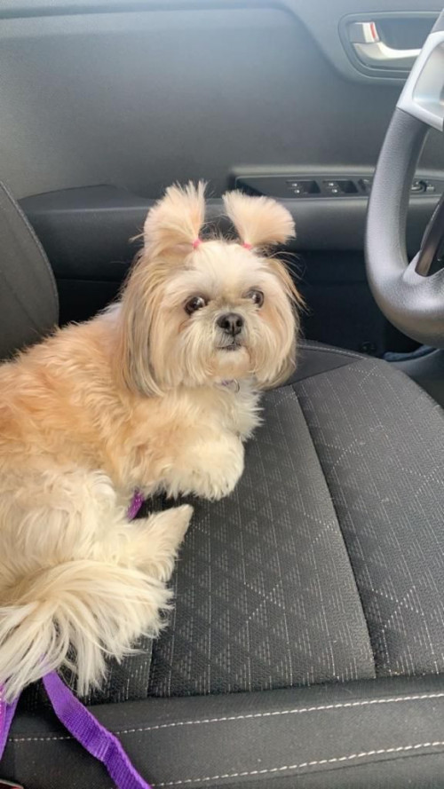 Dulce