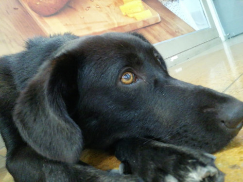 Neron