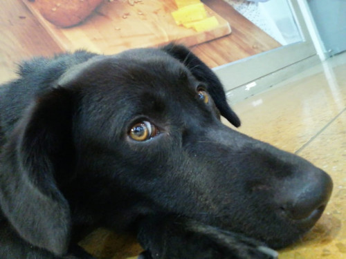 Neron