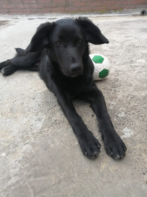 Neron