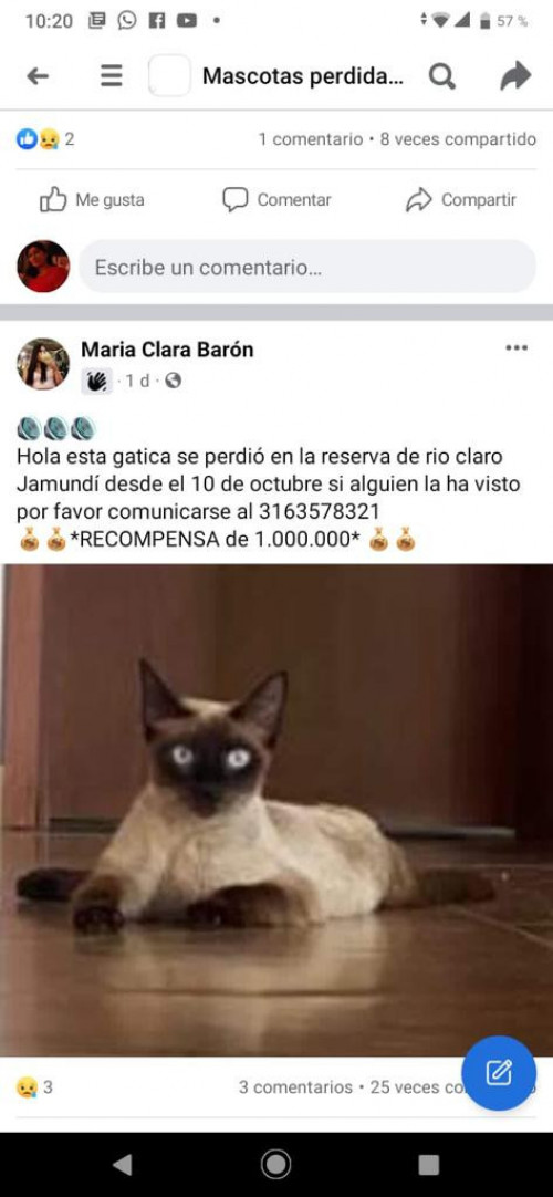 Boticas