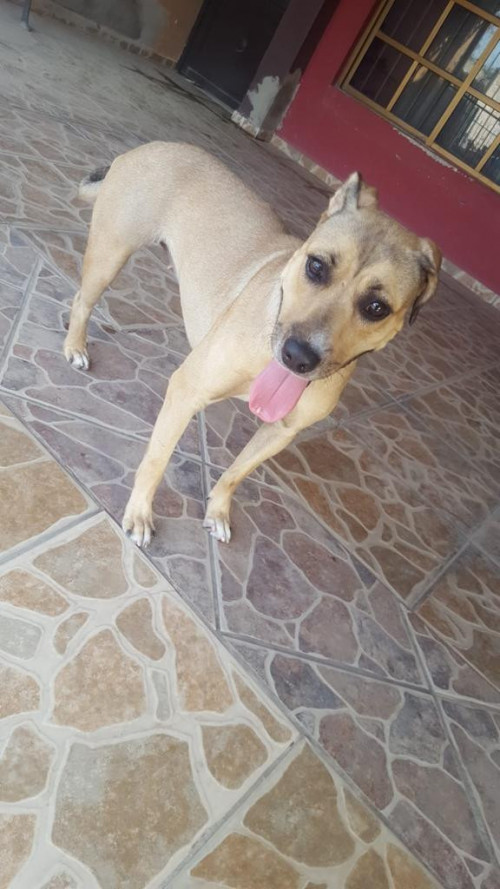 Charlie