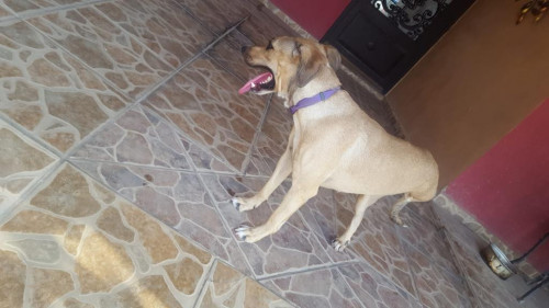 Charlie