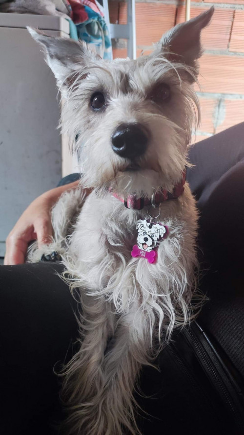 Mia