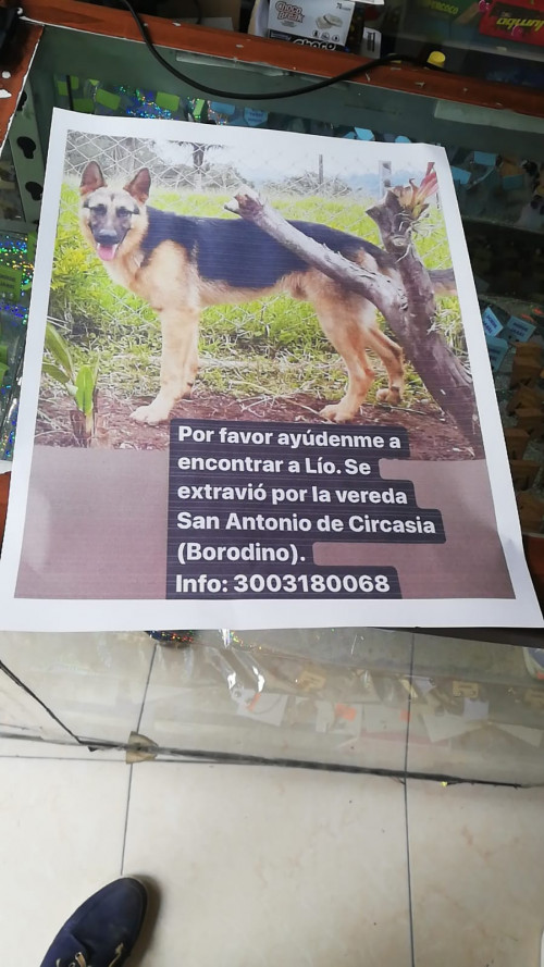 Lío