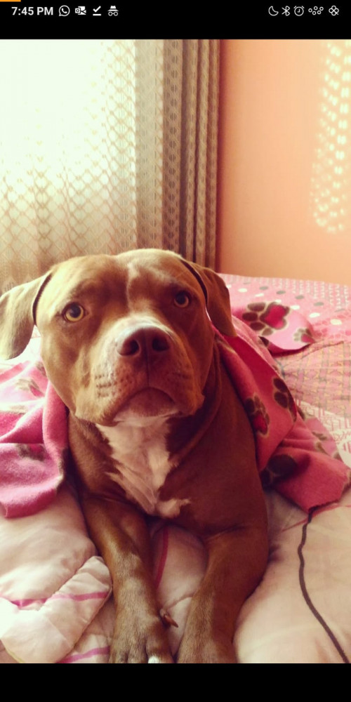 Sally
