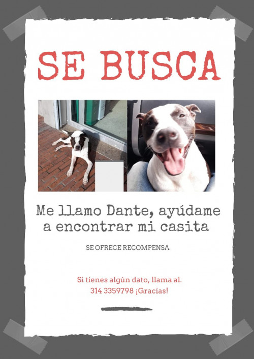 Dante