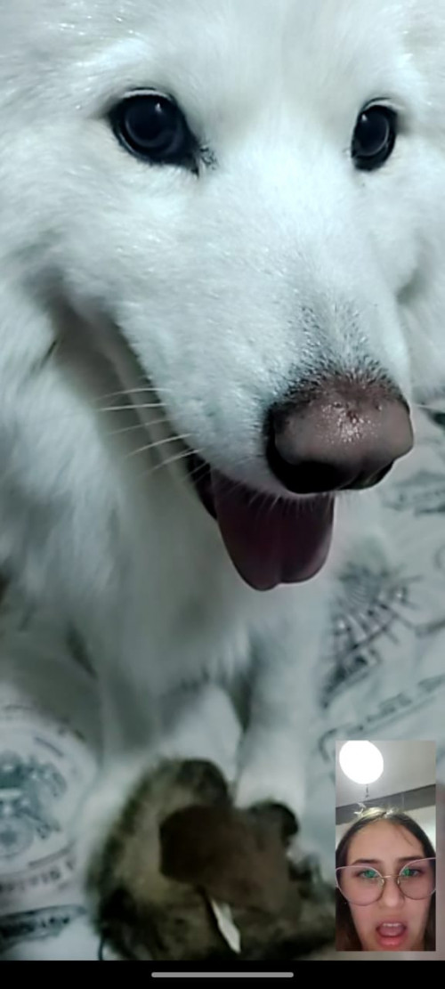 Nunu
