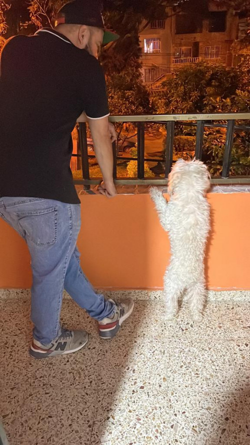 Muñeco