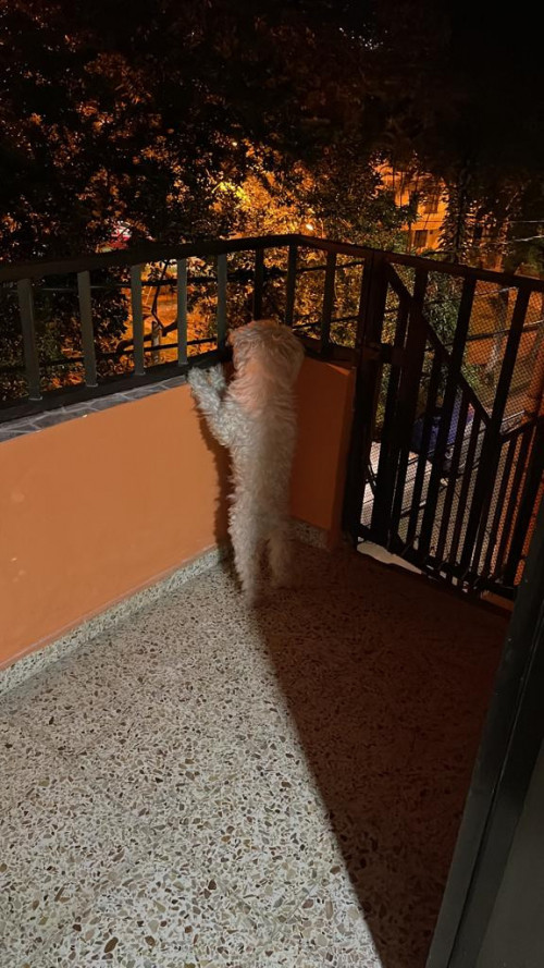 Muñeco