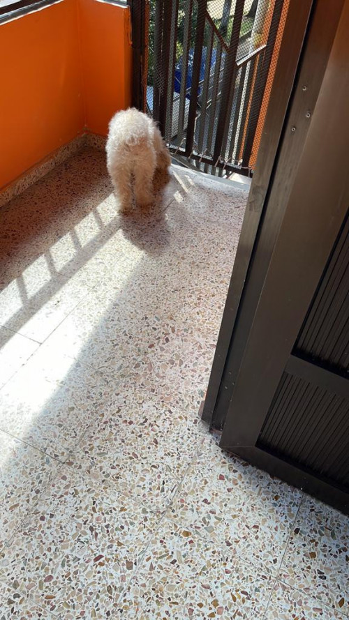 Muñeco