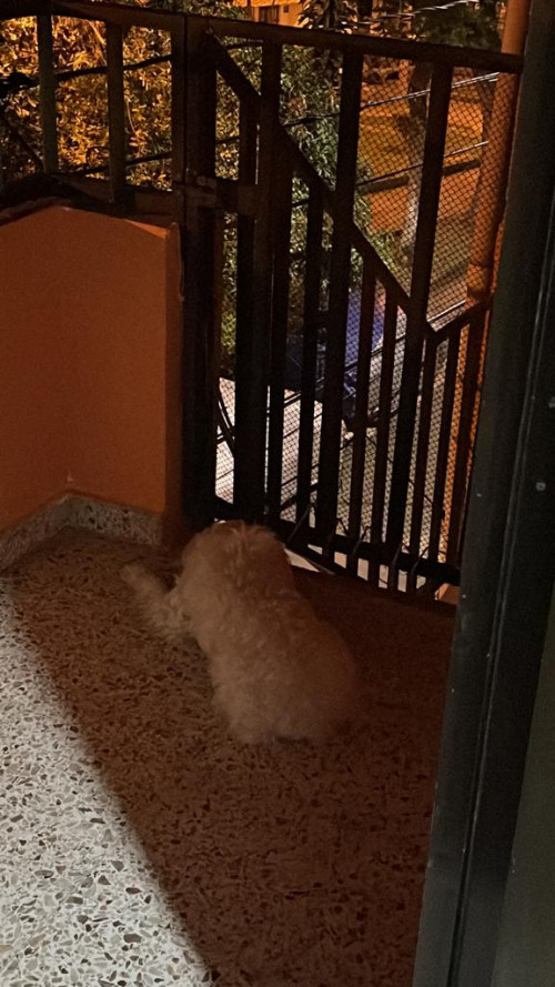 Muñeco