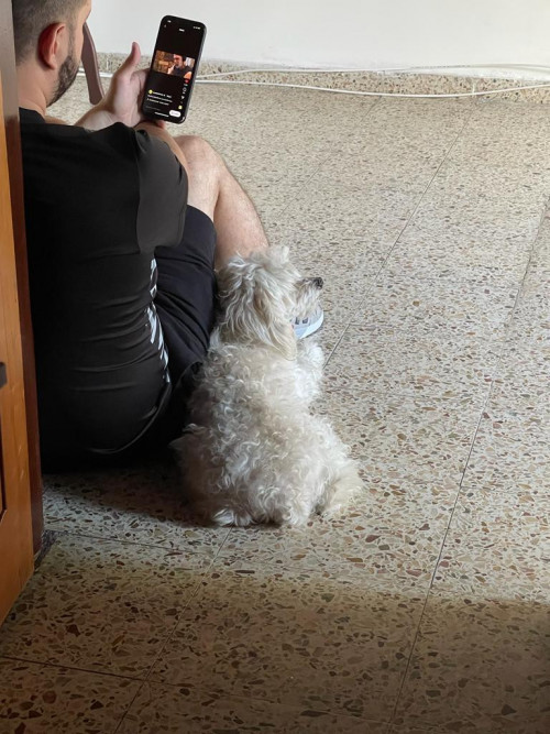 Muñeco