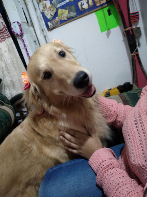 Milu