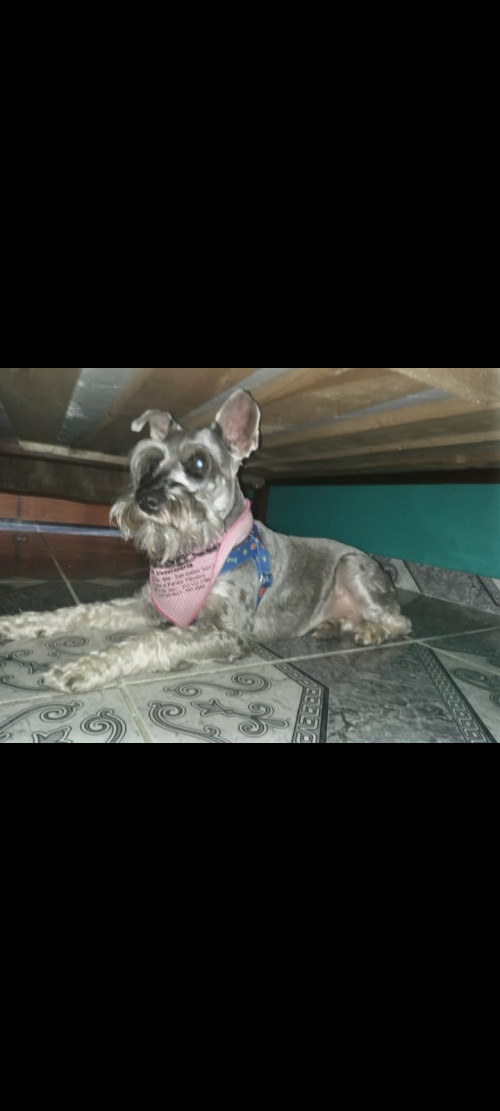 Sammy