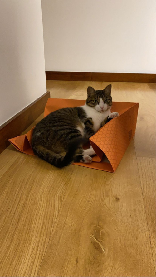 Mia