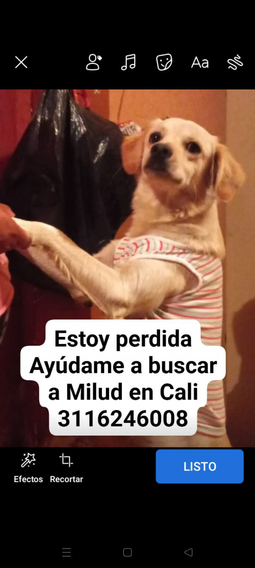 Milu
