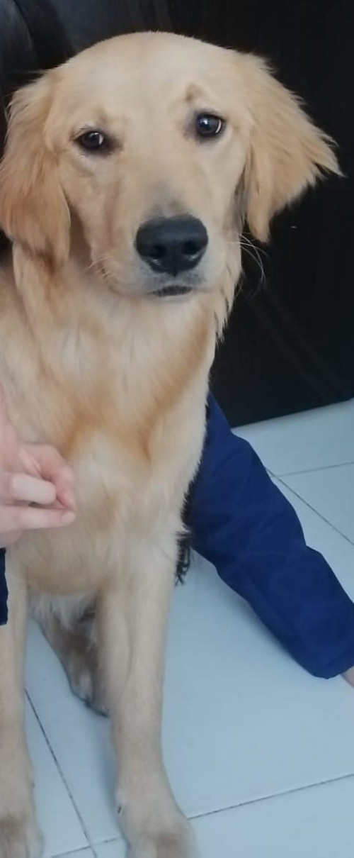 Kiara