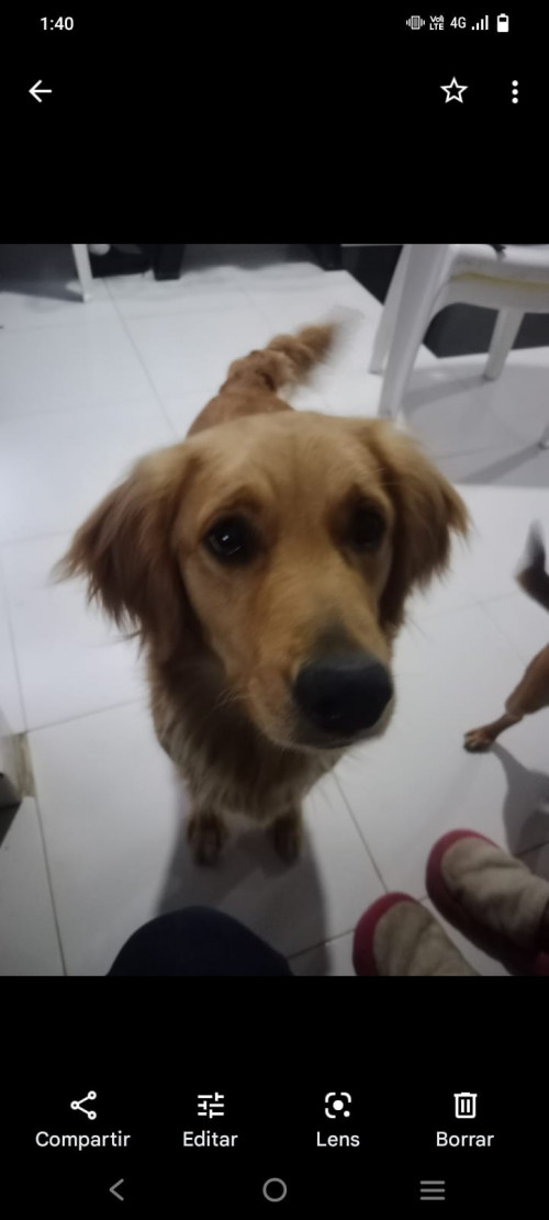 Kiara