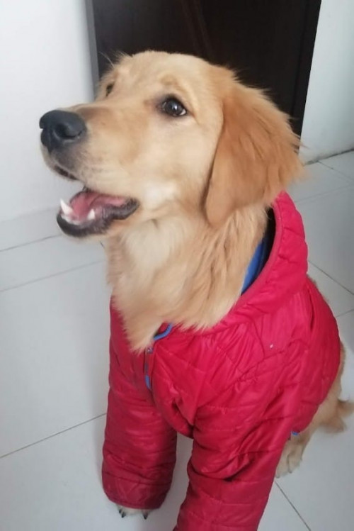 Kiara