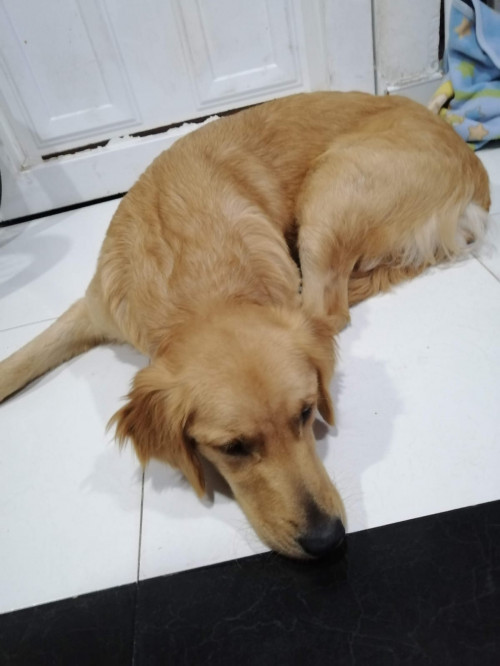 Kiara